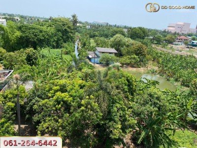 อาคารพาณิชย์ 3 ชั้น ซ.เพชรเกษม106 (พื้นที่สีเขียว) เหมาะสำหรับอยู่อาศัยและทำการค้า