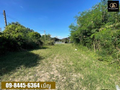 ขายที่ดิน 3-3-79 ไร่ หนองผักนาก สามชุก สุพรรณบุรี