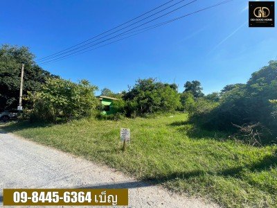 ขายที่ดิน 3-3-79 ไร่ หนองผักนาก สามชุก สุพรรณบุรี