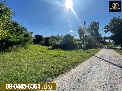 ขายที่ดิน 3-3-79 ไร่ หนองผักนาก สามชุก สุพรรณบุรี