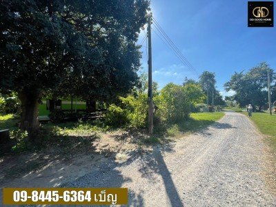 ขายที่ดิน 3-3-79 ไร่ หนองผักนาก สามชุก สุพรรณบุรี