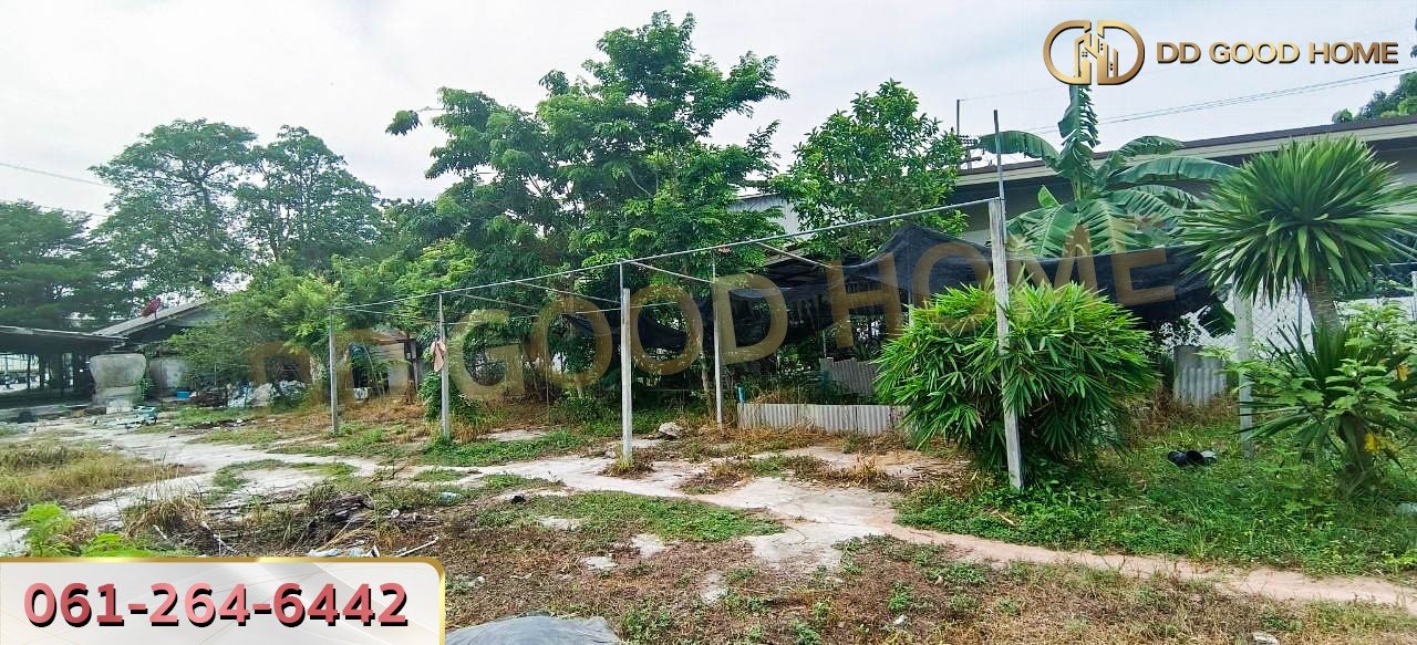 ที่ดินพร้อมสิ่งปลูกสร้าง ศรีราชา ชลบุรี ที่สวย ทำเลทอง 2 งาน 64 ตร.ว.-3