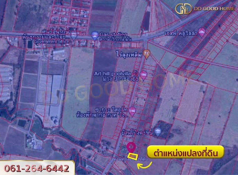 ขายที่ดิน ถมแล้ว 263.7 ตารางวา ในโครงการจัดสรร ไร่ลุงเหลิมวังม่วงปากช่อง-2