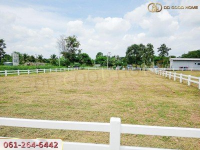 ขายที่ดิน ถมแล้ว 263.7 ตารางวา ในโครงการจัดสรร ไร่ลุงเหลิมวังม่วงปากช่อง