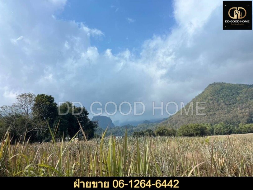 ที่ดิน เชียงราย 37 ไร่ ทำเลดีมากกกกกก-3