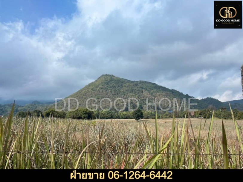 ที่ดิน เชียงราย 37 ไร่ ทำเลดีมากกกกกก-9