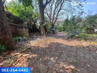 ที่ดินเปล่า ทำเลดี โครงการหมู่บ้านชลลดา บางบัวทอง