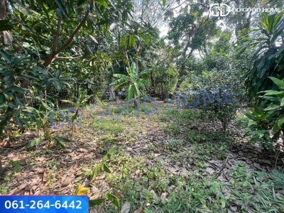 ที่ดินเปล่า ทำเลดี โครงการหมู่บ้านชลลดา บางบัวทอง