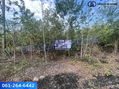 ที่ดินเปล่าขนาด 1 ไร่ 12 วา บางหลวง บางเลน นครปฐม