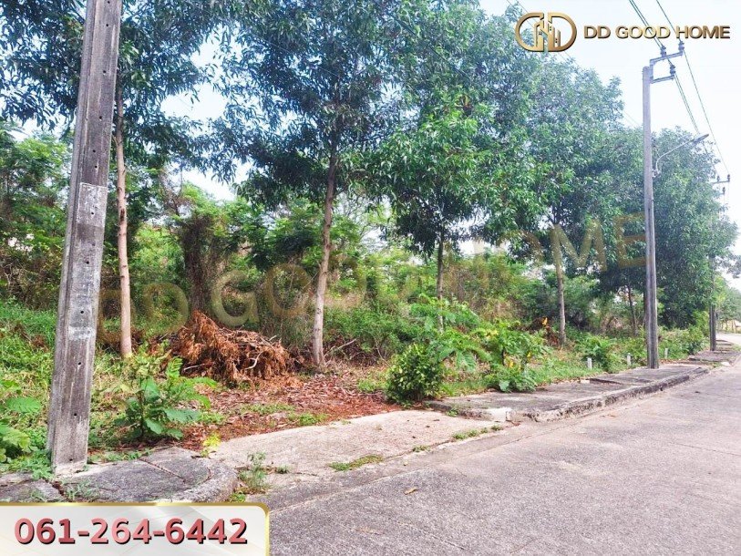 ที่ดินเปล่า โครงการหมู่บ้านฟอเรส ปาร์ค บางชัน มีนบุรี-5