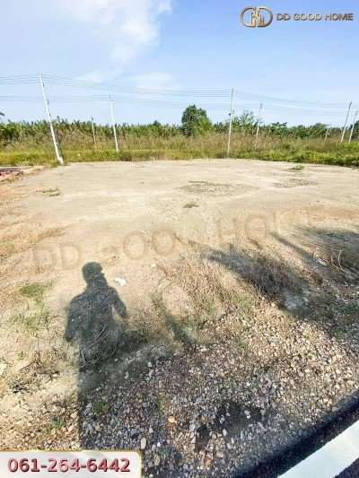 ขายที่ดินเปล่า แปลงสวยมาก ต.แหลมใหญ่ อ.เมืองสมุทรสงคราม จ.สมุทรสงคราม ราคาพิเศษ-5