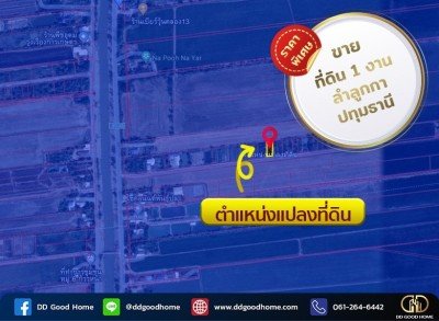 ขายที่ดิน 1 งาน ตำบลพืชอุดม อำเภอลำลูกกา จังหวัดปทุมธานี 💥ราคาพิเศษ💥