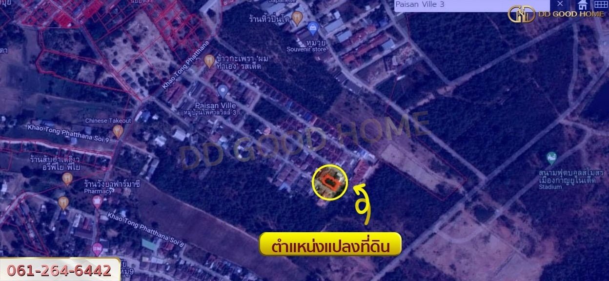 ที่ดินจัดสรร น.ส.3ก หมู่บ้านไพศาลวิลล์ 3 แปลงหัวมุม วิวภูเขา-4