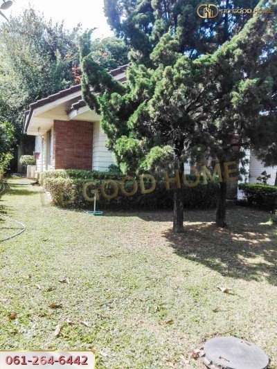 ขายที่ดินสวนผลไม้ พร้อมสิ่งปลูกสร้าง ชุมพร-6