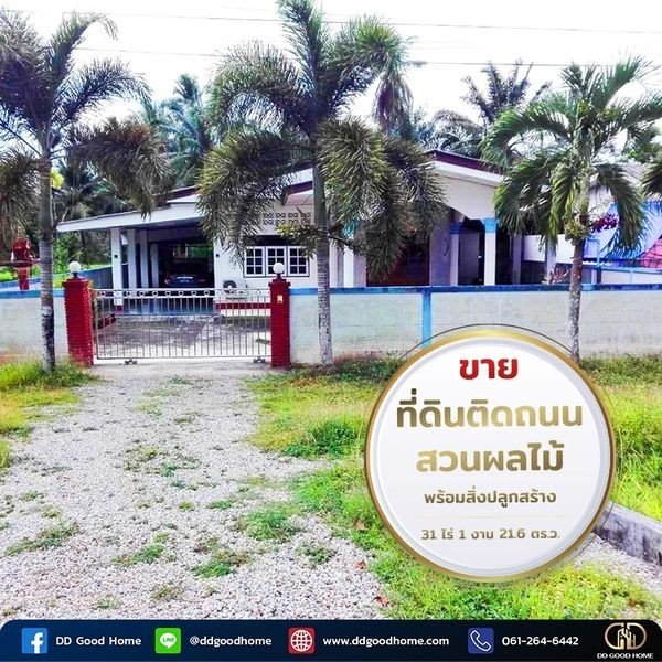 ขายที่ดินสวนผลไม้ พร้อมสิ่งปลูกสร้าง ชุมพร-1