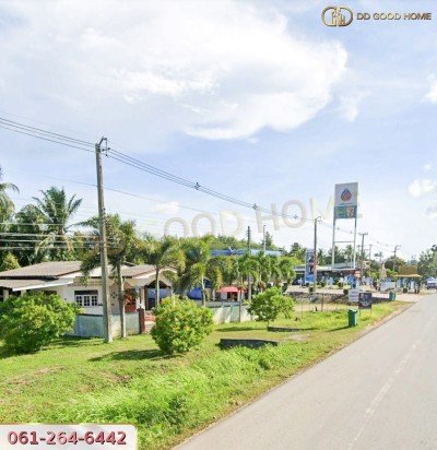 ขายที่ดินสวนผลไม้ พร้อมสิ่งปลูกสร้าง ชุมพร-3