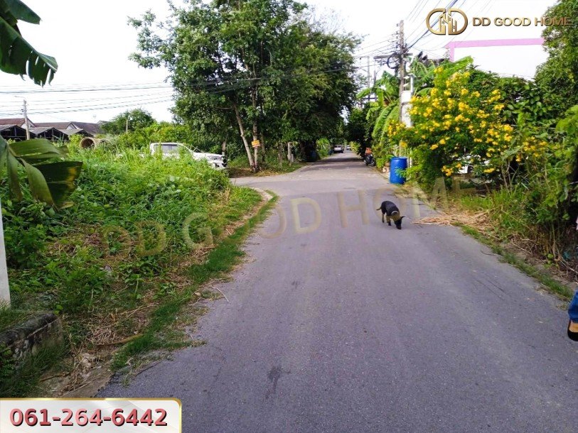 ที่ดินเปล่าถมแล้ว 109 ตร.ว. แขวง ฉิมพลี เขต ตลิ่งชัน จ.กรุงเทพมหานคร ใกล้รถไฟฟ้า-6