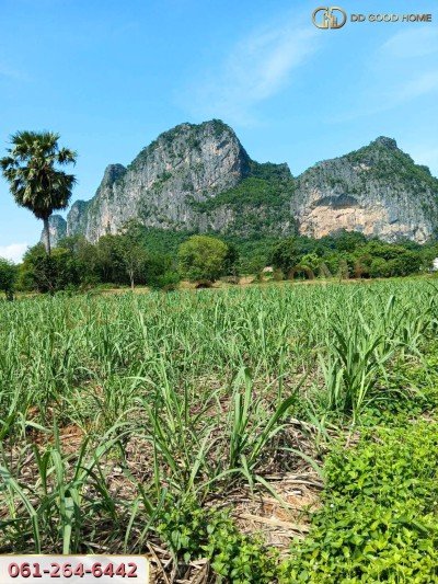 ที่ดินเปล่า 4 ไร่ 2 งาน 86.5 ตร.ว. อ.ภูผาม่าน จ.ขอนแก่น ติดเขา