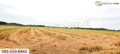 ที่ดินเปล่า 21 ไร่ 3 งาน 55 ตร.ว. ต.ศิลาลอย อ.สามร้อยยอด