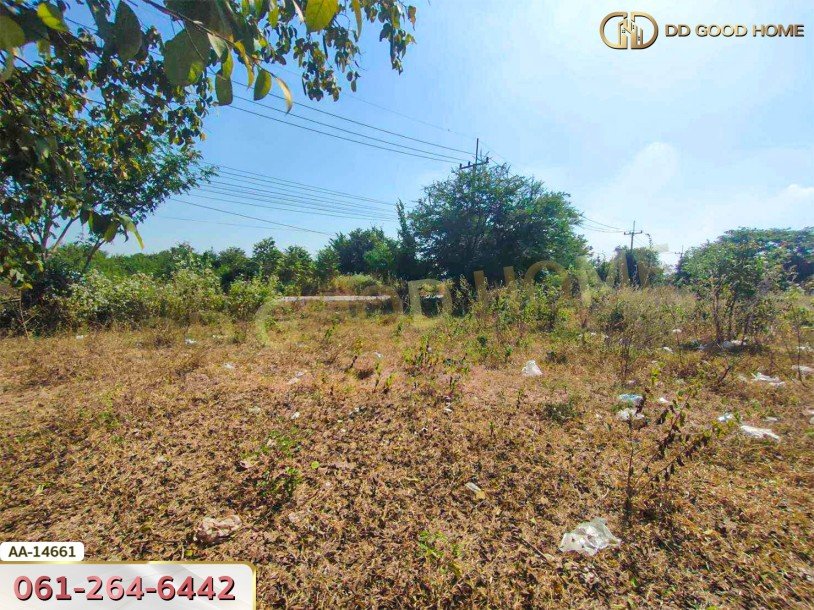 ที่ดิน อ.เมืองนครราชสีมา 3 ไร่ 349 ตร.ว. นิคมอุตสาหกรรมสุรนารี หัวทะเล นครราชสีมา-2