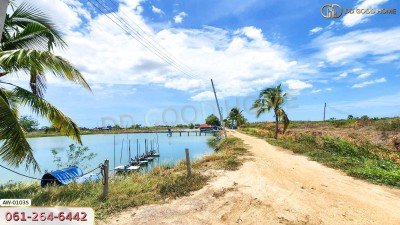 ที่ดินพร้อมสิ่งปลูกสร้าง บ่อกุ้งครูปัญญาฟาร์ม 78 ไร่ 5 ตร.ว. ต.หนองจอก อ.ท่ายาง