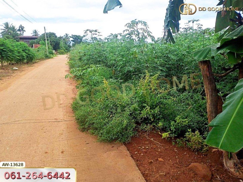 ที่ดินขนาด 26 ไร่ 283 ตร.ว. ถ.ราชสีมา-โชคชัย หลังสถานีอนามัยกุดโบสถ์ นครราชสีมา-7