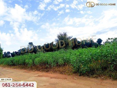 ที่ดินขนาด 26 ไร่ 283 ตร.ว. ถ.ราชสีมา-โชคชัย หลังสถานีอนามัยกุดโบสถ์ นครราชสีมา