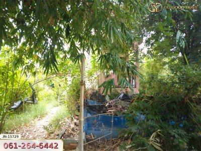 ที่ดิน อ.ด่านมะขามเตี้ย 113 ตร.ว. พร้อมสิ่งปลูกสร้าง ถ.ยางเกาะ-ลำทราย กาญจนบุรี