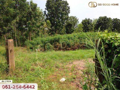 ที่ดิน อ.ด่านมะขามเตี้ย 4 ไร่ 399.7 ตร.ว. หมู่บ้านยุติธรรม ถ.แม่น้ำแม่กรอง กาญจนบุรี