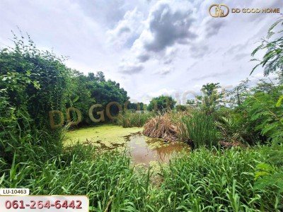 ที่ดินเปล่า 121 ตร.ว. ซอยร่วมมิตรพัฒนา แยก 6 บางเขน กรุงเทพ