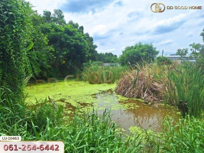 ที่ดินเปล่า 121 ตร.ว. ซอยร่วมมิตรพัฒนา แยก 6 บางเขน กรุงเทพ