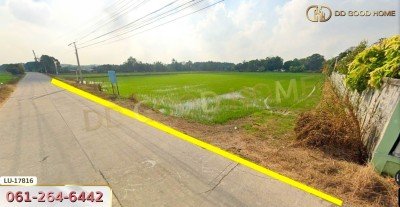 ที่ดิน อ.ลาดหลุมแก้ว 7 ไร่ 41 ตร.ว. ติดคลองโยธา ปทุมธานี