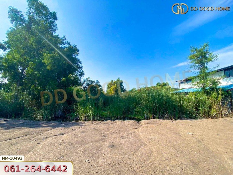 ที่ดิน อ.เมืองปทุมธานี 100 ตร.ว. ซ.ร่วมสุข 4/6 ปทุมธานี-7