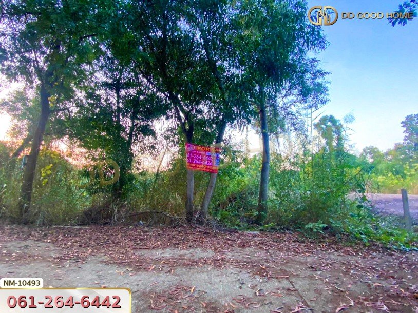 ที่ดิน อ.เมืองปทุมธานี 100 ตร.ว. ซ.ร่วมสุข 4/6 ปทุมธานี-2