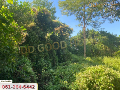 ที่ดิน อ.ลำลูกกา 1 ไร่ 8 ตร.ว. ปทุมธานี