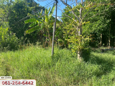 ที่ดิน อ.ลำลูกกา 1 ไร่ 8 ตร.ว. ปทุมธานี