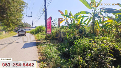 ที่ดินขนาด 200 ตร.ว. ซ.ดอยพระบาท เชียงราย