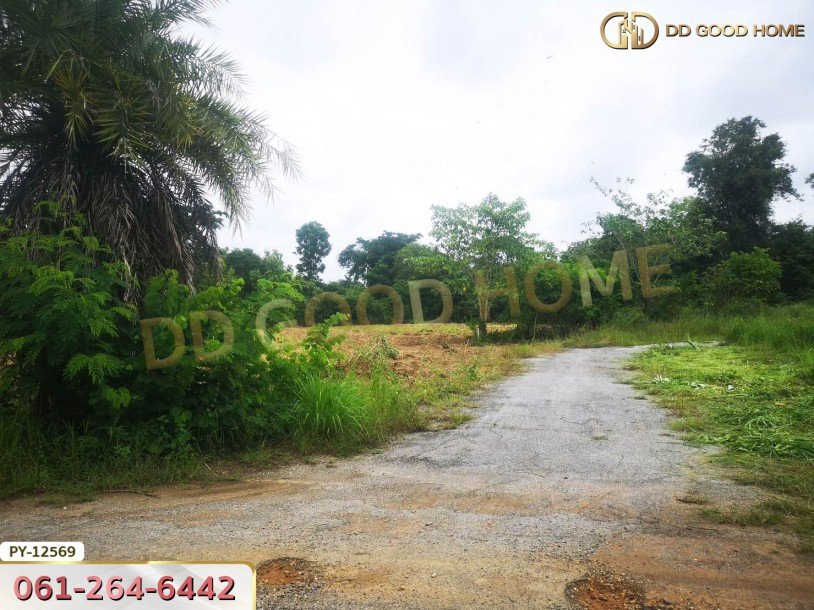ที่ดิน 1 ไร่ 35 ตร.ว.ใกล้ ถ.ราชสีมา-โชคชัย นครราชสีมา-3