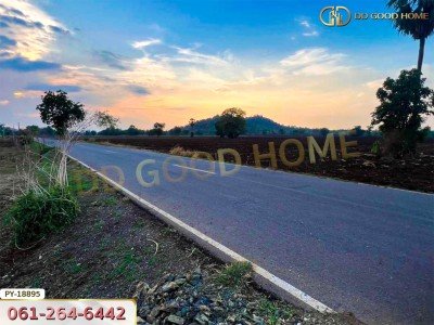 ที่ดิน อ.พยุหะคีรี 5 ไร่ 34.8 ตร.ว. นครสวรรค์