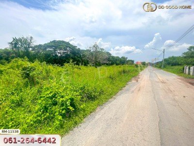 ที่ดินเปล่า 82 ตร.ว. ต.มหาสวัสดิ์ อ.พุทธมณฑล