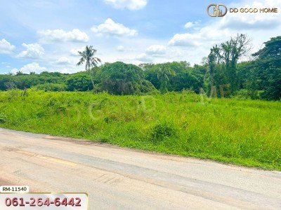 ที่ดินเปล่า 82 ตร.ว. ต.มหาสวัสดิ์ อ.พุทธมณฑล ที่พร้อมสร้างบ้าน