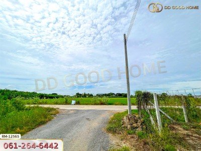 ที่ดินเปล่า 198.9 ตร.ว. ต.หนองเพรางาย อ.ไทรน้อย