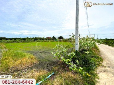 ที่ดินเปล่า 198.9 ตร.ว. ต.หนองเพรางาย อ.ไทรน้อย