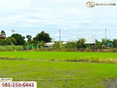 ที่ดินเปล่า 198.9 ตร.ว. ต.หนองเพรางาย อ.ไทรน้อย