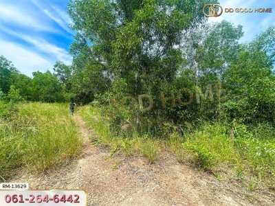 ที่ดิน 401 ตร.ว. โครงการสนามกอล์ฟบางปะกงริเวอรีไซด์ ฉะเชิงเทรา