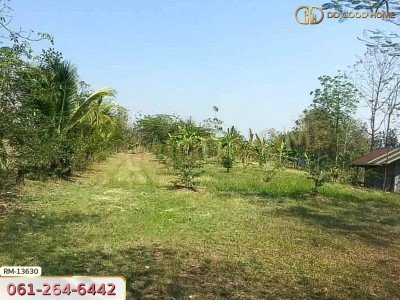 ที่ดิน 1 ไร่ 376 ตร.ว. โครงการภูหินวิวรีสอร์ท เพชรบูรณ์