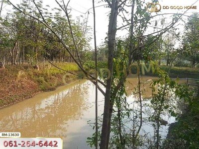 ที่ดิน 1 ไร่ 376 ตร.ว. โครงการภูหินวิวรีสอร์ท เพชรบูรณ์