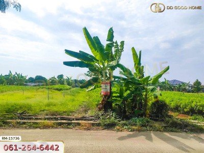ที่ดินขนาด 71 ตร.ว. ซ.หมู่บ้านศรีสุภาลัย 1 นนทบุรี