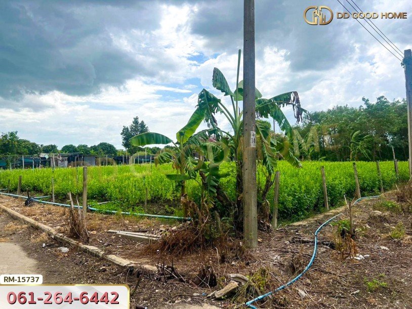 ที่ดินขนาด 89 ตร.ว. ซ.หมู่บ้านศรีสุภาลัย 1 นนทบุรี-7