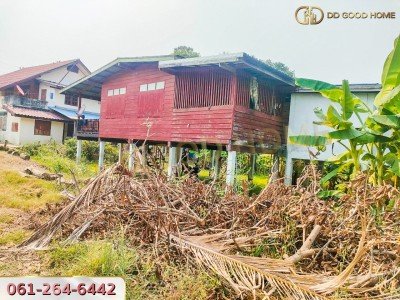 ขายบ้านเดี่ยวชั้นเดียวพร้อมที่ดิน 3 งาน 24 ตารางวา ตำบลยางซ้าย จังหวัดสุโขทัย ราคาพิเศษ!!-9